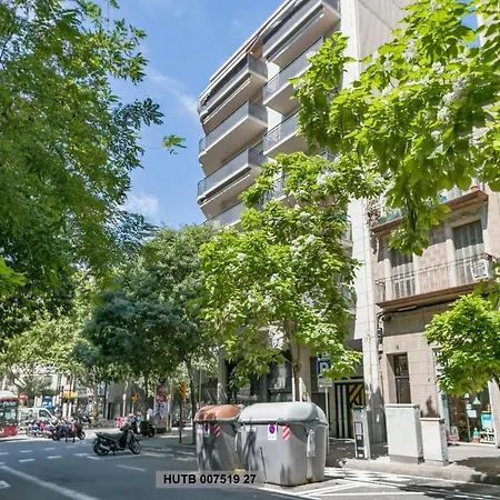 Alcam Office Up Barcellona